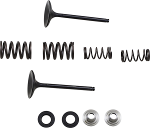 MOOSE RACING Stainless Intake Valve And Spring Kit 