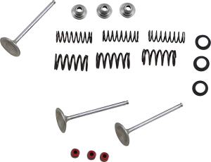 MOOSE RACING Stainless Intake Valve And Spring Kit 