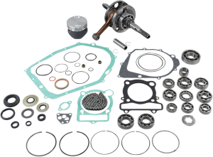 VERTEX Complete Engine Rebuild Kit 