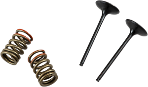 Valve And Spring Kit