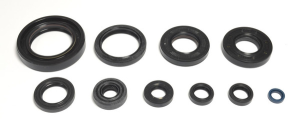 Engine Oil Seal