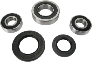 Wheel Bearing And Seal Kit