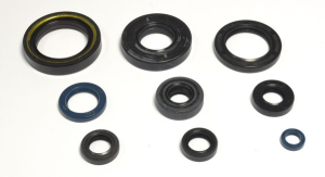 Engine Oil Seal