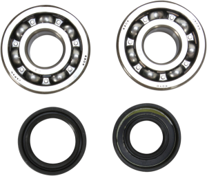 Crankshaft Bearing And Seal Kit