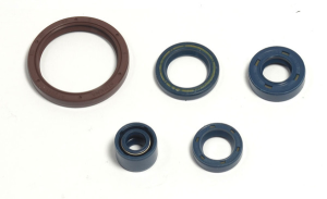 Engine Oil Seal