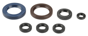 Engine Oil Seal