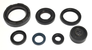 Engine Oil Seal