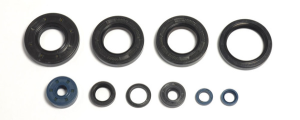 Engine Oil Seal