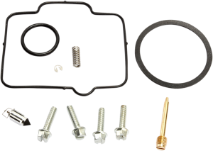 Carburetor Repair Kit