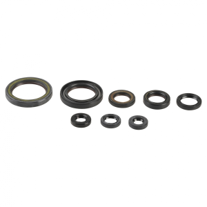 Engine Oil Seal