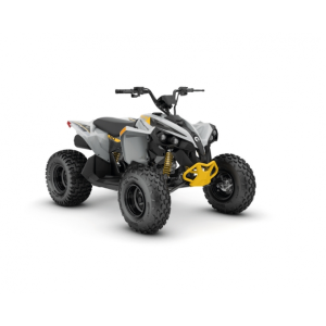 Can-Am Renegade 110 EFI 23