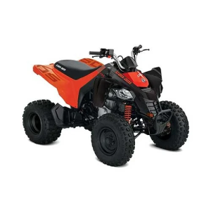 Can-Am DS STD 250 INT '25