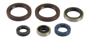 Engine Oil Seal