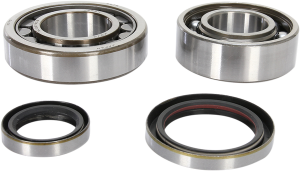 Crankshaft Bearing And Seal Kit