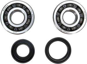 Crankshaft Bearing And Seal Kit