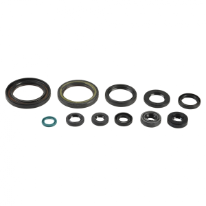 Engine Oil Seal