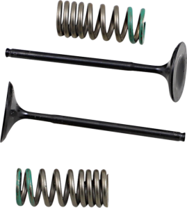 Valve And Spring Kit