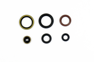 Engine Oil Seal