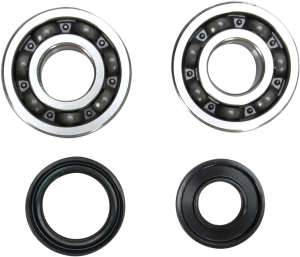 Crankshaft Bearing And Seal Kit