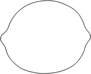 MOOSE RACING Clutch Cover Gasket 