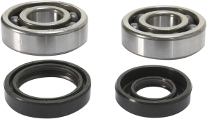 Crankshaft Bearing And Seal Kit