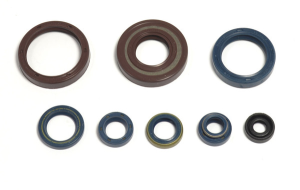 Engine Oil Seal