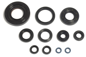 Engine Oil Seal