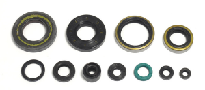 Engine Oil Seal