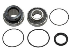 Sno-X Chain case bearing kit