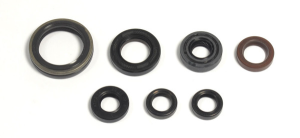 Engine Oil Seal