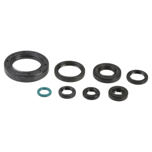 Engine Oil Seal