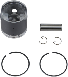 Piston Kit 24106ab