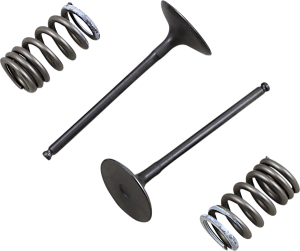 Valve And Spring Kit