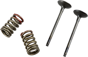 Valve And Spring Kit