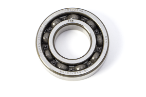 Main Bearing (individual)