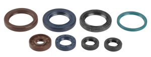 Engine Oil Seal