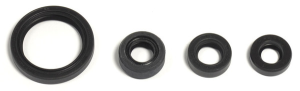 Engine Oil Seal