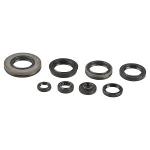 Engine Oil Seal