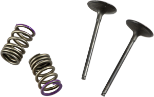 Valve And Spring Kit