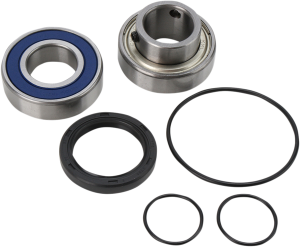 Chain Case Bearing And Seal Kit