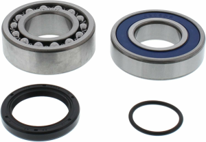 ALL-BALLS Bearing & seal kit, Arctic Cat