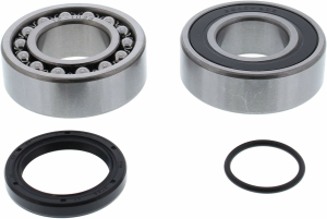 ALL-BALLS Bearing & seal kit, Arctic Cat/Yamaha