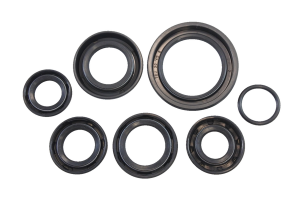 Oil Seal Kit