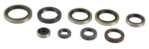 Engine Oil Seal