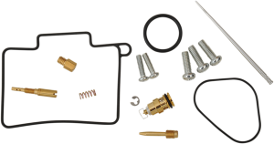 Carburetor Repair Kit