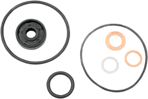 Water Pump Repair Gasket Kit