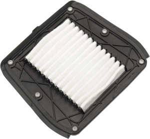 Indian Oem Replacement Air Filter Element Black, White