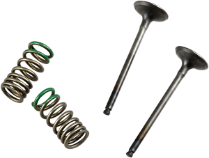 Valve And Spring Kit