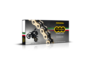 REGINA 520 Zre Z-ring Chain Gold 