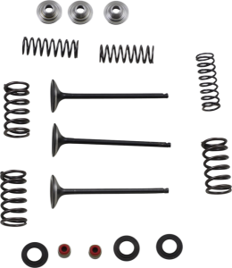 MOOSE RACING Stainless Intake Valve And Spring Kit 